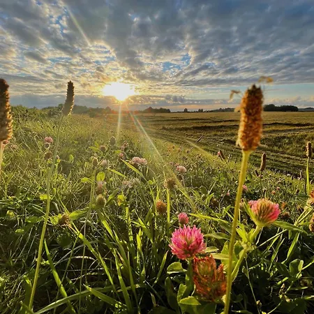 Haus Sterntaucher 4 アパート