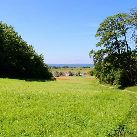 Haus Sterntaucher 4 Apartment Thiessow