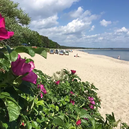 Haus Sterntaucher 4 アパート ティースゾー