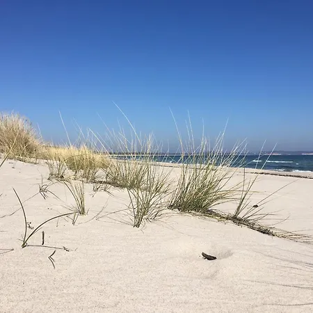 Haus Sterntaucher 4 アパート *