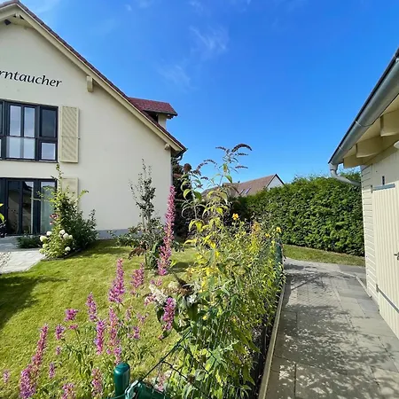 Haus Sterntaucher 4 アパート *